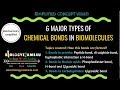 6 Major Types of Chemical Bonds in Biomolecules