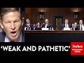 'Who Won The 2020 Election?': Blumenthal Stunned By 'Stock Answer' Of 4 Trump Nominees