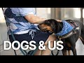 Dogs \u0026 Us: The Secret of a Friendship | Unlocking the Bond Between Humans and Dogs