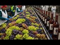 How Grapes Are Turned Into Wine In A Factory | Wine Production Process - Full Process