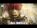 Elden Ring: Shadow of the Erdtree - All Bosses (With Cutscenes) + True Ending 4K 60FPS UHD PC