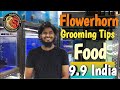 Flowerhorn Grooming Tips | 9.9 India | Zeeshan Sheikh | Flowerhorn Fish Food | Flowerhorn Grooming