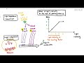 13-7 Limiting Factors in Photosynthesis (Cambridge AS A Level Biology, 9700)