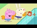 Peppa Pig Full Episodes |Swimming with Peppa and George #98