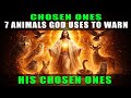 7 Animals God Uses to Warn His Chosen Ones