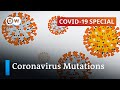 What do the current mutations mean for the coronavirus pandemic? | COVID-19 Special
