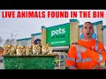 I Found LIVE Animals in the PET STORE BIN!😲