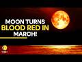 Blood Moon Alert: Sky Watchers Get Ready To Witness The First Total Lunar Eclipse Of 2026 |Originals
