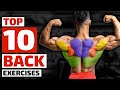 Top Trainers Agree, These are the 10 Best Exercises for Building a Bigger Back