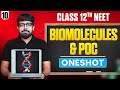 Biomolecules \u0026 POC in ONE SHOT | All Concept \u0026 PYQ | Basic to Advanced | Class 12 NEET