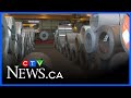 Zekelman reacts to Buy Canadian policy
