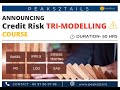 Credit Risk Modelling Course: IFRS9 - Application and Behavior Scorecards | CCAR | Peaks2Tails