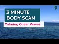 3 Minute Body Scan | Relax \u0026 Destress (2023)