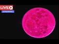 LIVE PINK Moon IS HAPPENING NOW!