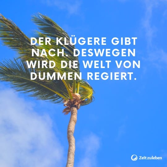 69 Lebensweisheiten, Die Dein Leben Besser Machen