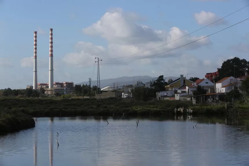 Alerta ambientalista: mais de 80% dos habitats de zonas húmidas estão degradados