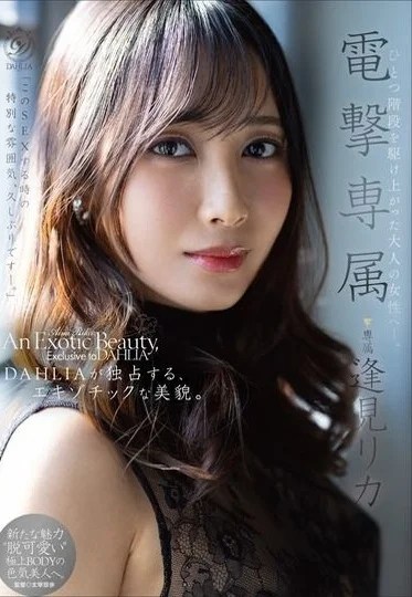 DLDSS-517