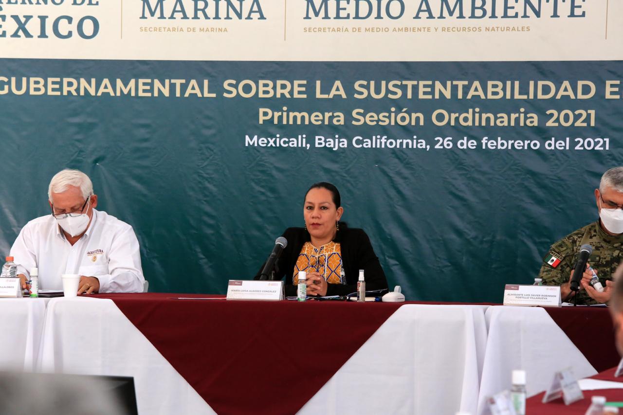 Gobierno de México