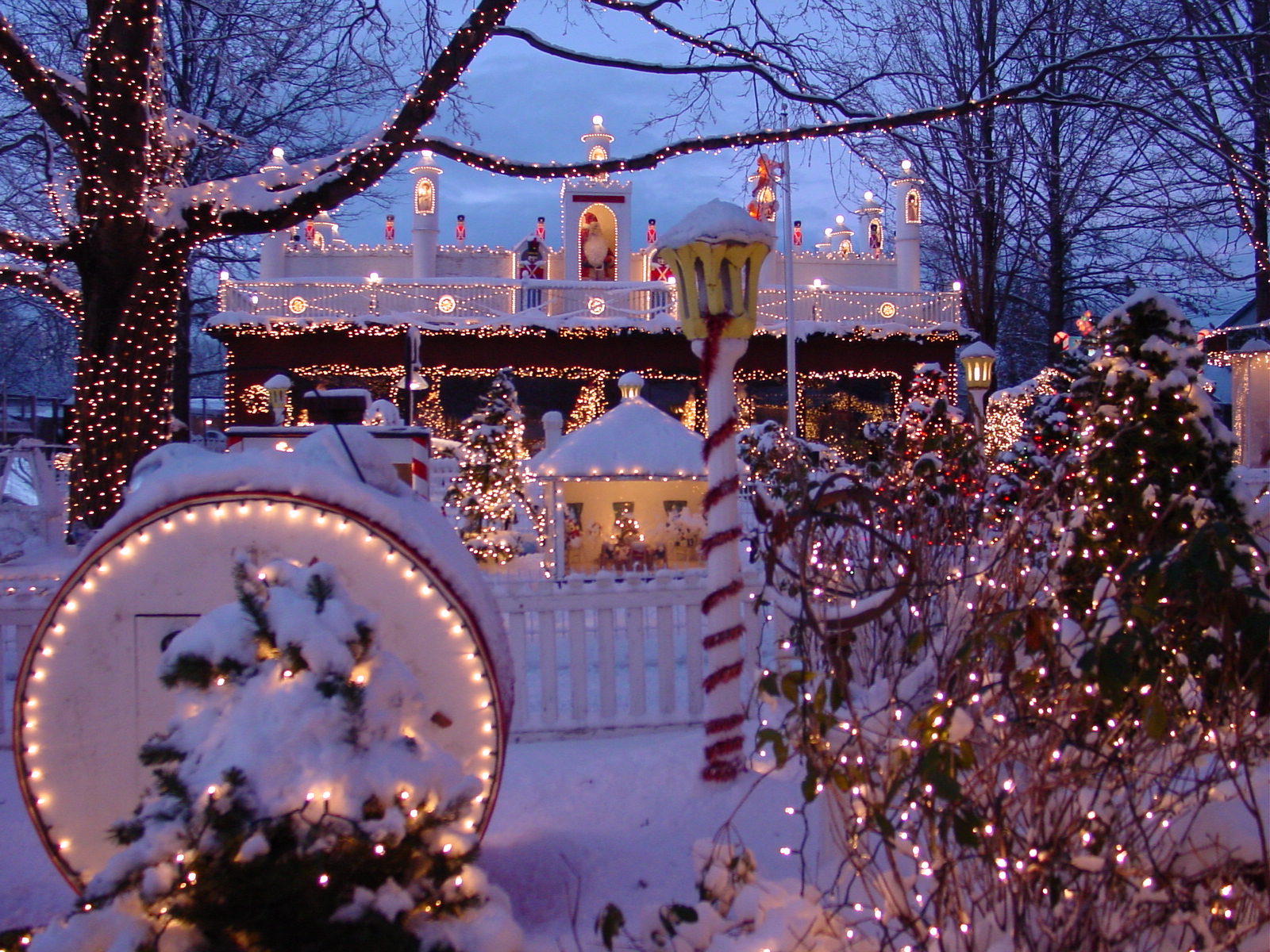 ZooLights Premieres at Stone Zoo on Thanksgiving Night!