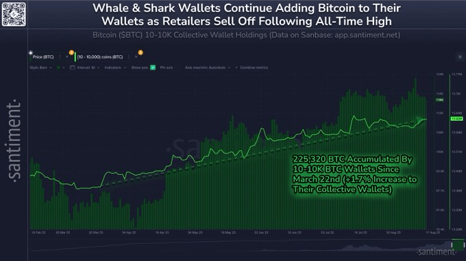 Volkswagen Singapore Accepts Bitcoin Payments as Whales & Sharks Scoop 20K BTC ⋆ ZyCrypto
